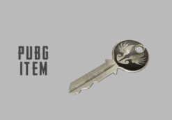 PUBG PlayerUnknown's Battlegrounds: Early Bird Key (DLC) (PC) Official website Key - GLOBAL