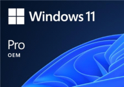 Microsoft Windows 11 Professional OEM Key - GLOBAL