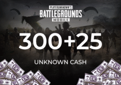 PUBG Mobile 300 + 25 UC (Unknown Cash) Official website Key - GLOBAL